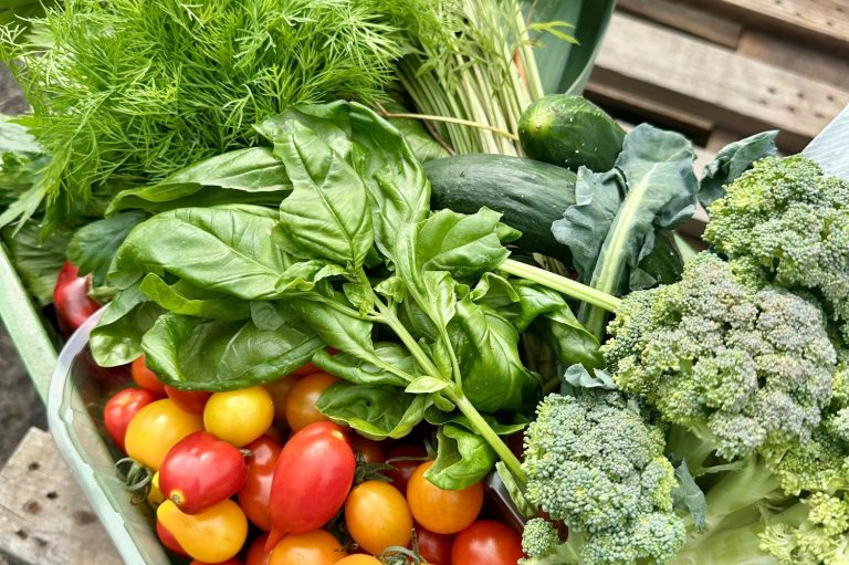 ein großer Korb mit frischem Gemüse